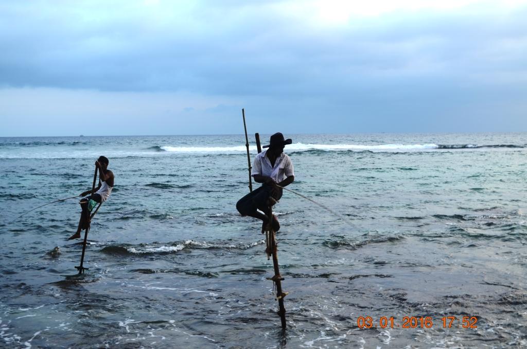 img/gallery/Stilt fishermen in Weligama, Sri Lanka/DSC_1137.JPG